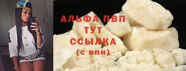 apvp Бердск