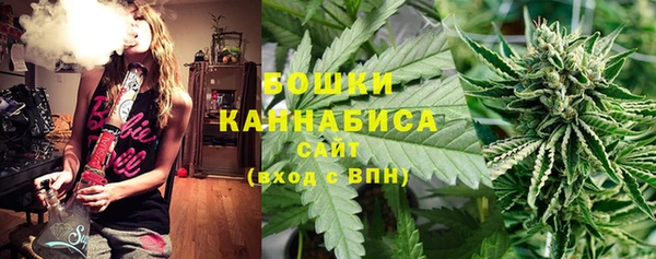 первитин Гусев