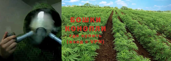 mix Гусиноозёрск